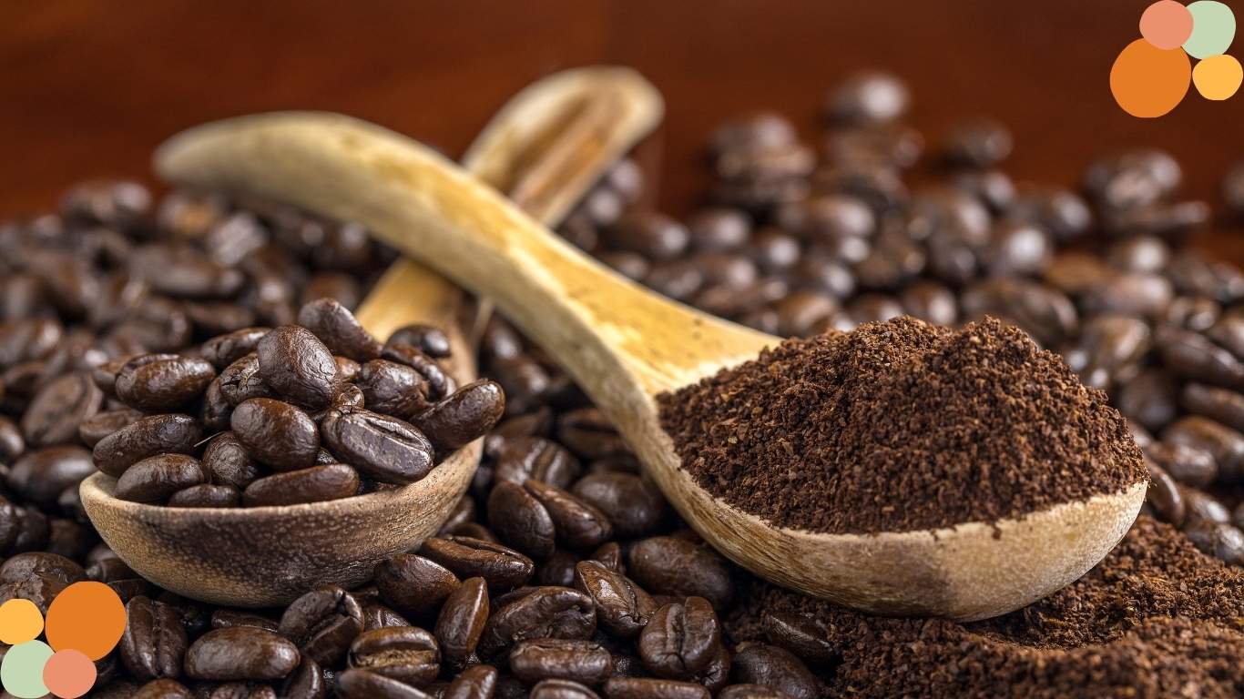 قیمت عمده قهوه بدون کافئین