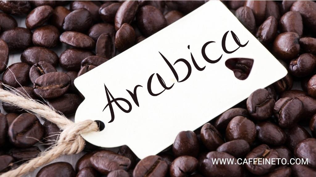 قهوه عربیکای هند