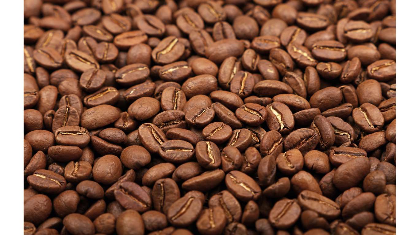 انواع قهوه عربیکا پریمیوم
