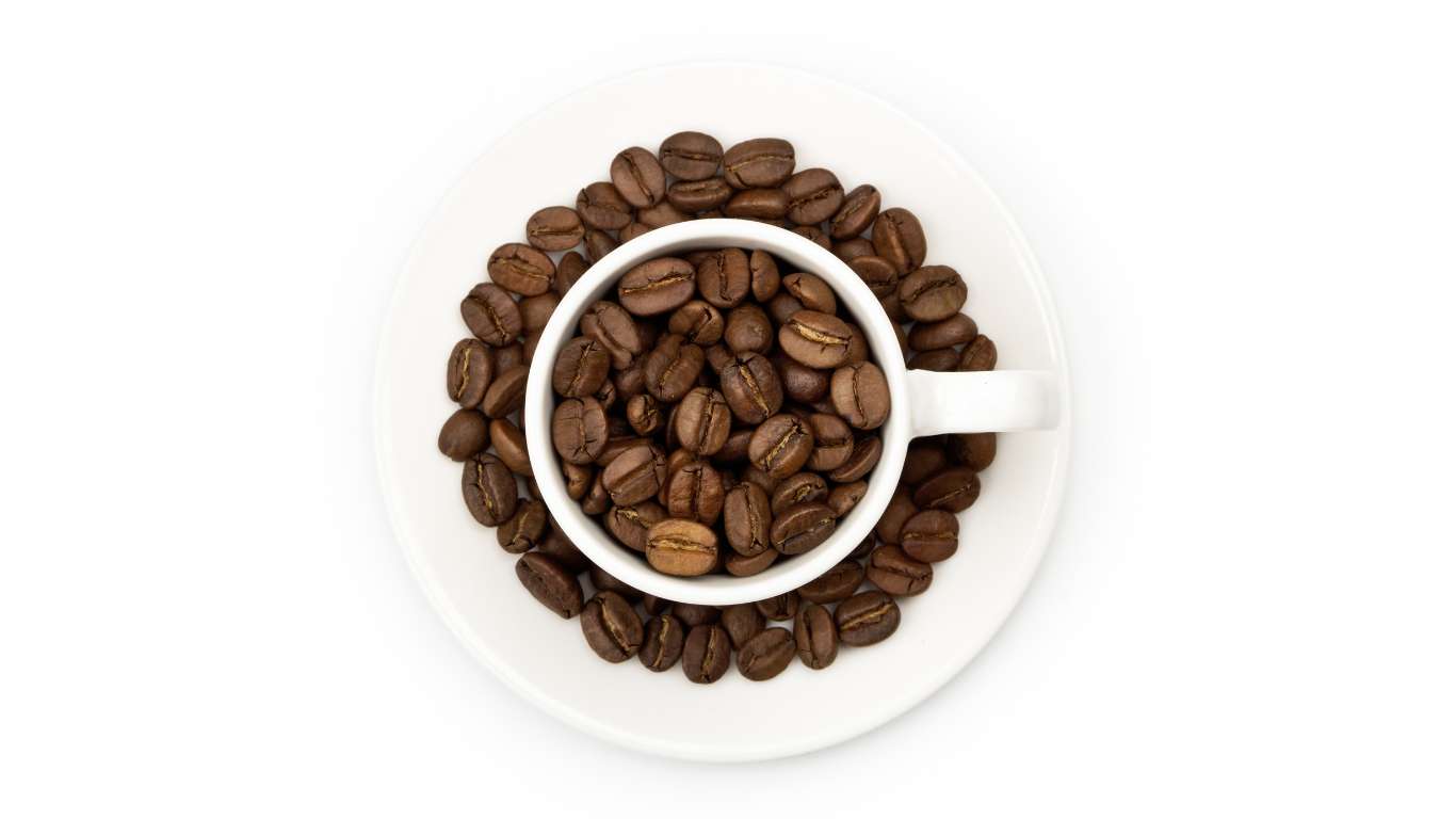 خرید قهوه عربیکا اسپشیالیتی